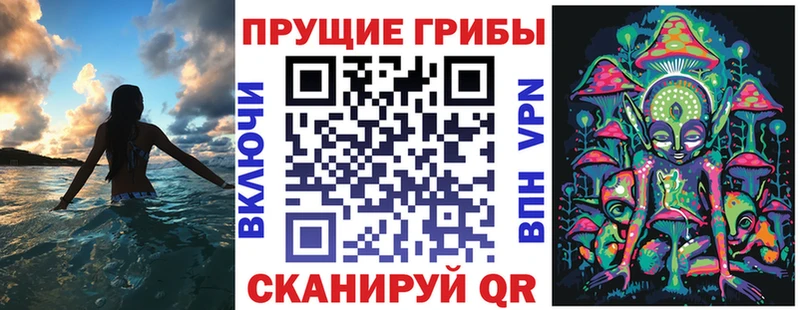 Псилоцибиновые грибы прущие грибы  где продают наркотики  Чишмы 